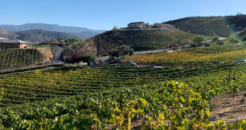 vineyards in temecula valley california 