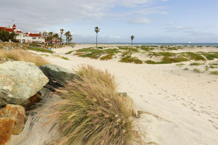 Picture of sand dunes at Coronado Beach with Victorian Hotel del Coronado building in distance