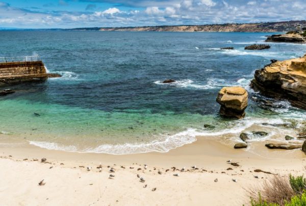 Image of La Jolla Beach with cliffs over blue water and white sand