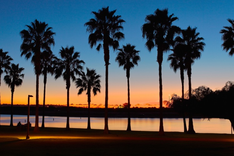 Image of Mission Bay Park with sun setting over bay and behind palm trees 