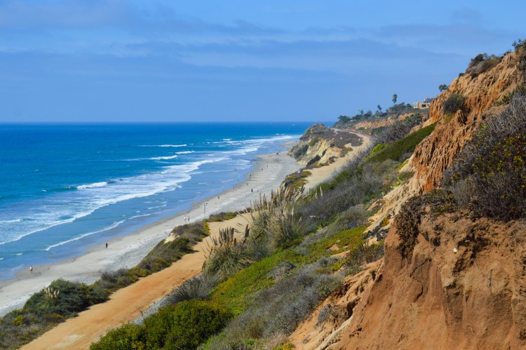 Picture of rocky cliffs over sand and blue water at Torrey Pines State Park