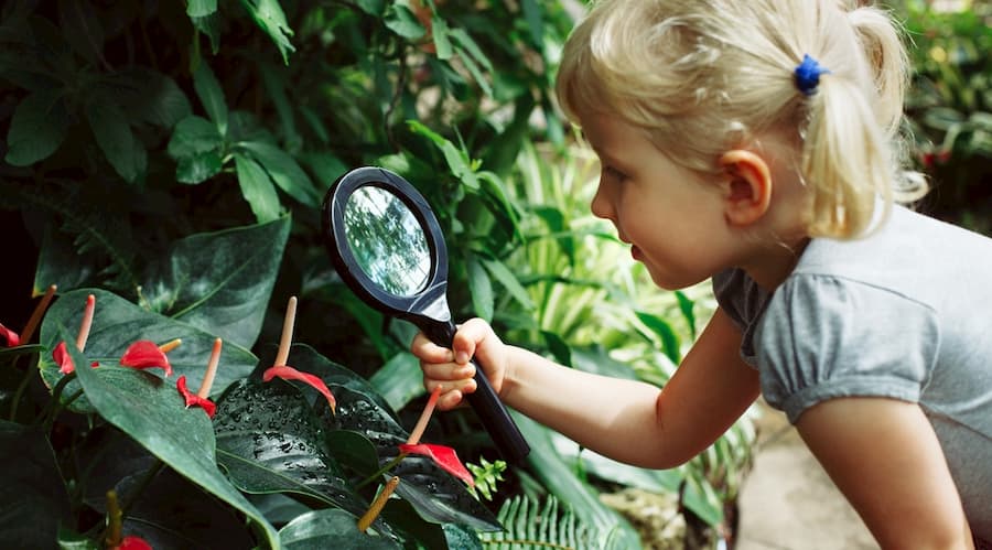 a child observes a tropical plant at the Denver Botanical Garden with a magnifying glass