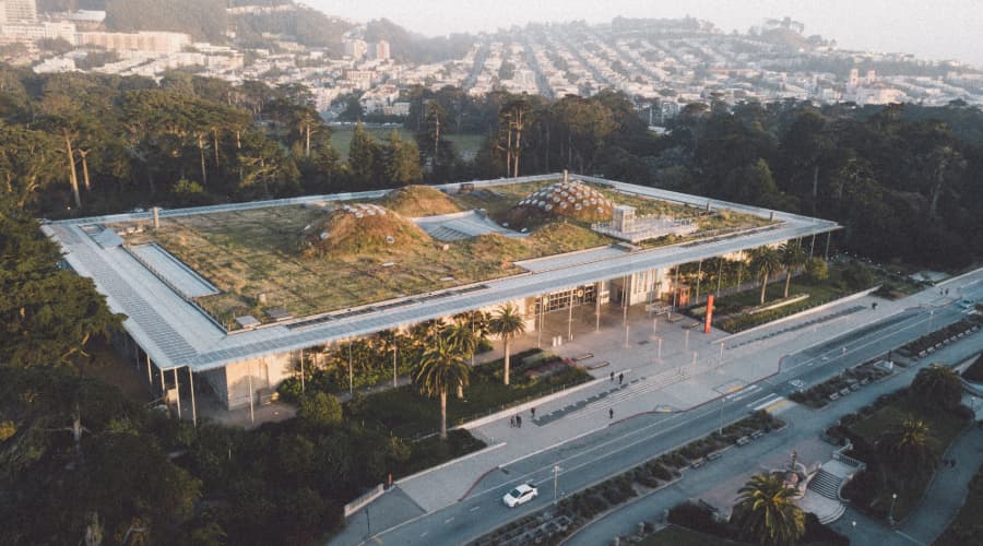 aerial view of the California Academy of Science rooftop greenspace