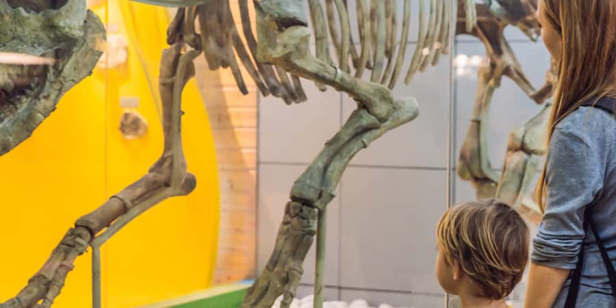 A kid and chaperone viewing a dinosaur skeleton at a museum