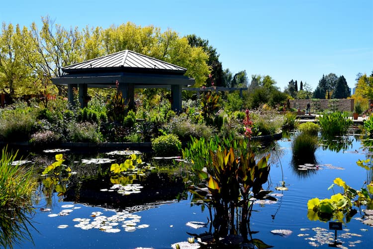 Lake at Denver Botanical Gardens