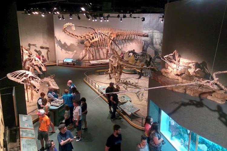 Denver Museum of Art and Science interior