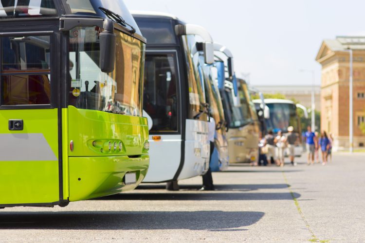 Line of charter buses in parking lot