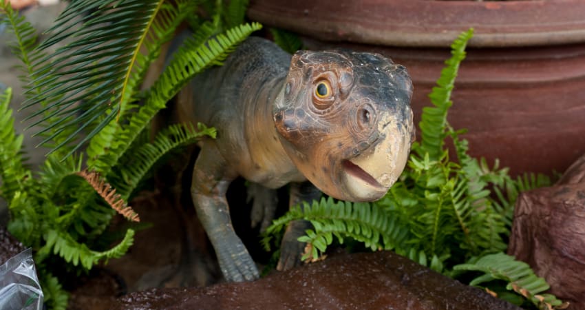 a model of a baby dinosaur in a natural history museum