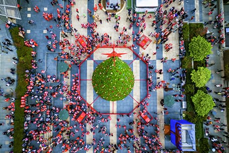 aerial view of San Francisco's Union Square decorated for Christmas