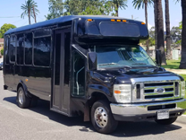 a black minibus parked on pavement, with palm trees in the background